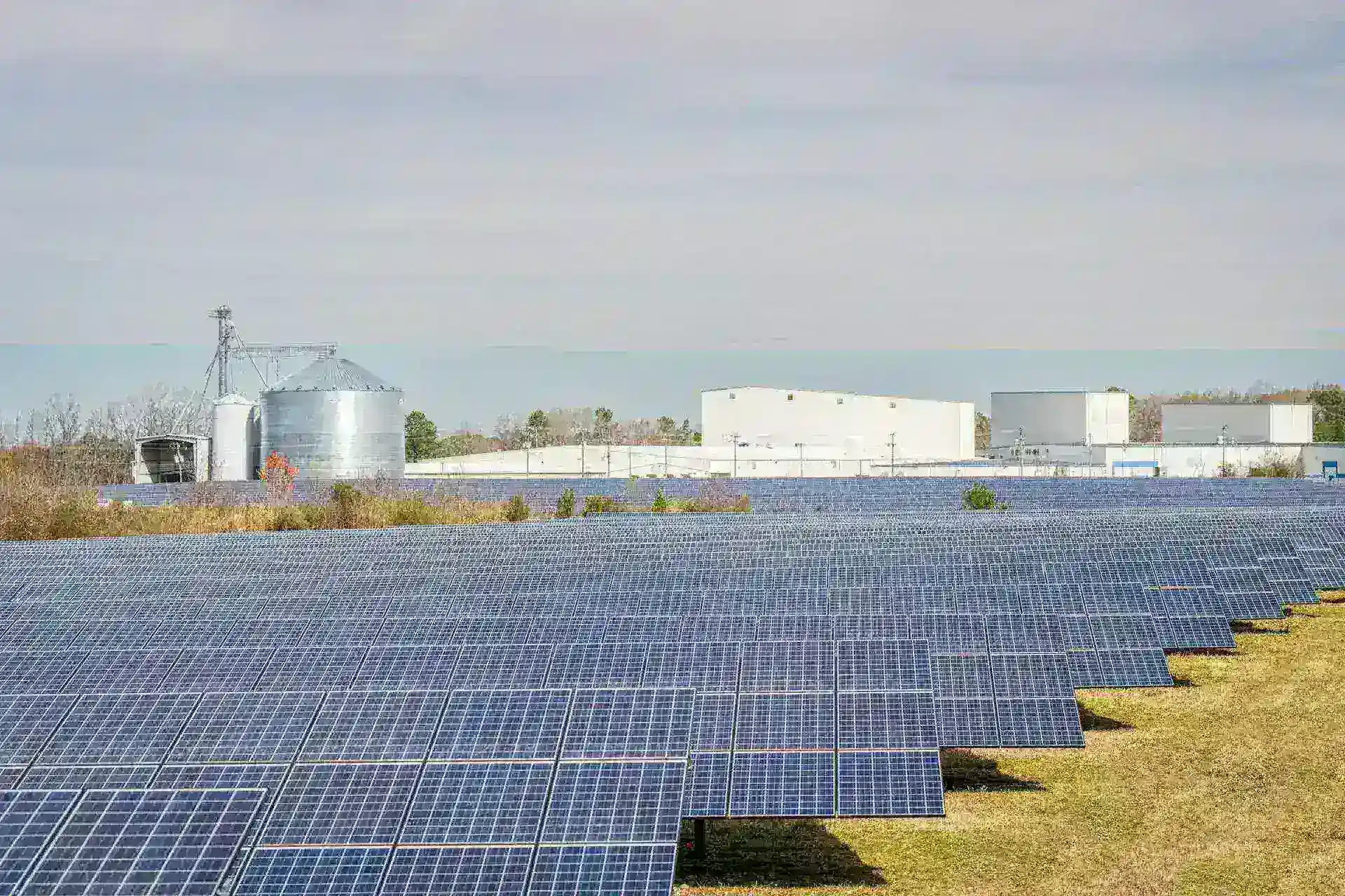 Renewable Resources: Sumber Daya Terbarukan untuk Bumi