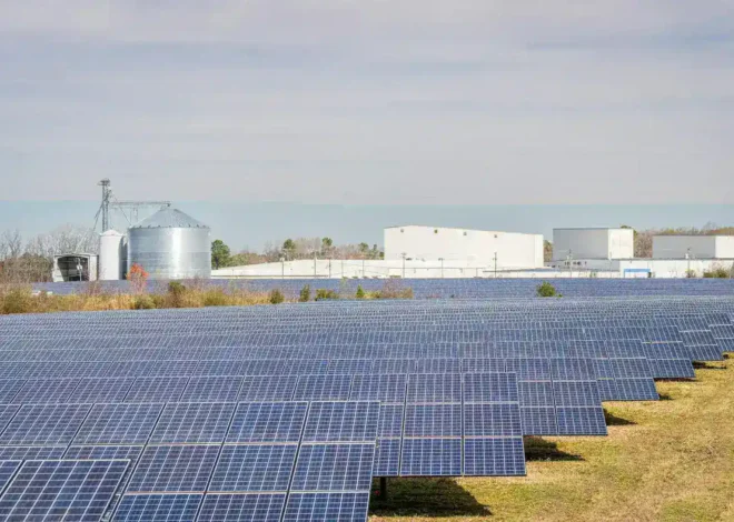 Renewable Resources: Sumber Daya Terbarukan untuk Bumi