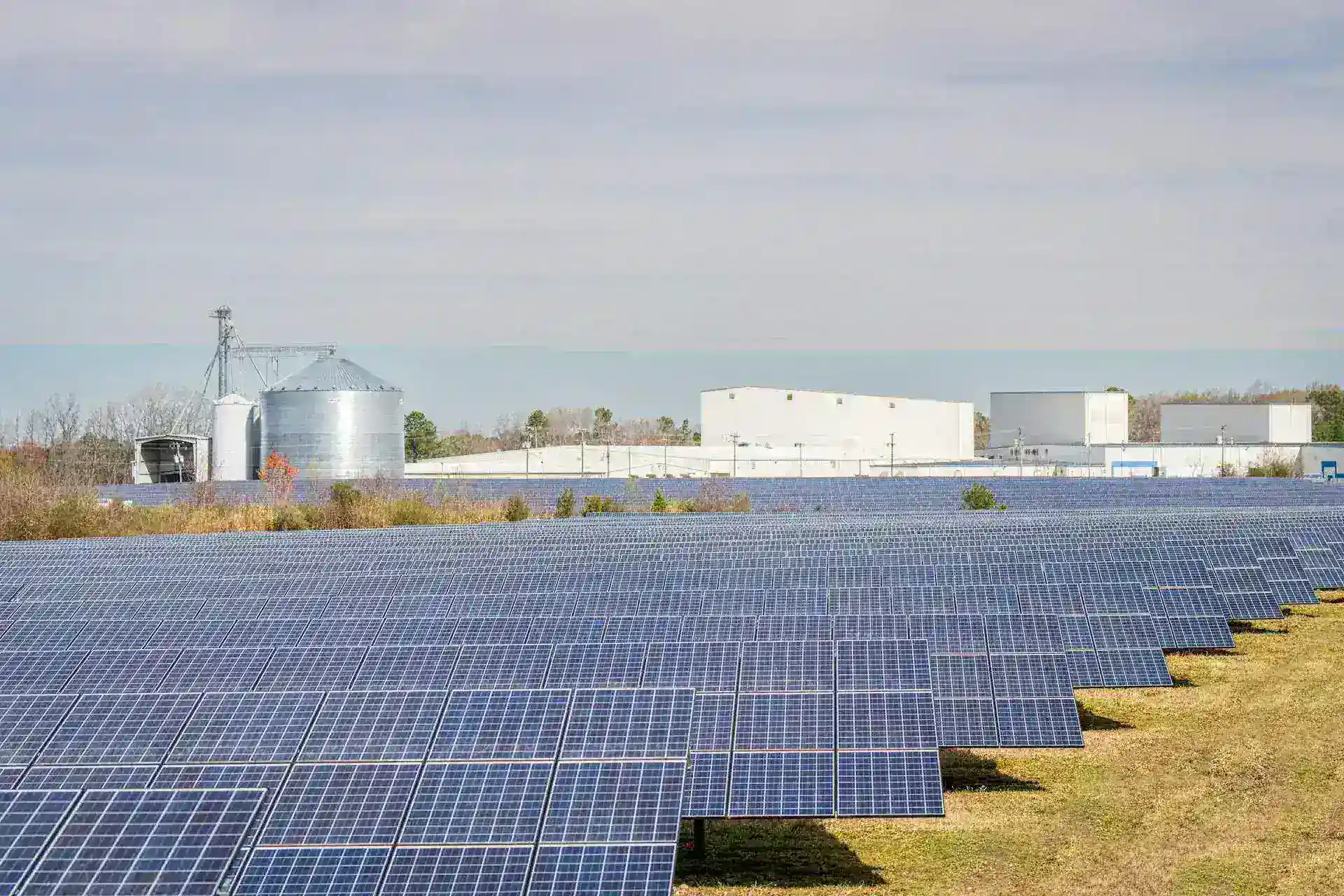 Renewable Resources: Sumber Daya Terbarukan untuk Bumi